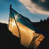 nyctoukraine