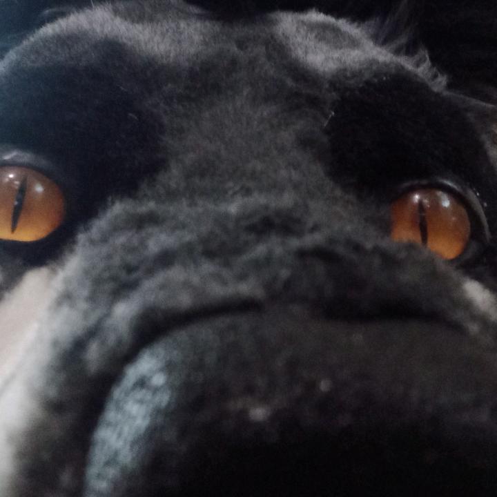 @ss_sniperfoxx