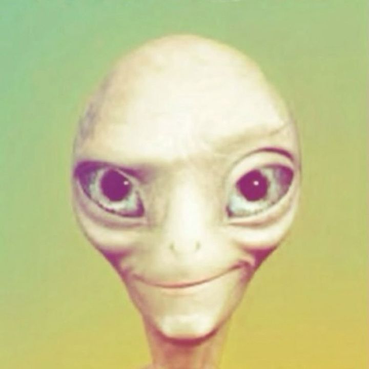 gotzedits