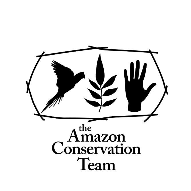 🌴 How many trees are in the Amazon rainforest? 🏡 The Amazon rainforest