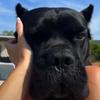life71772