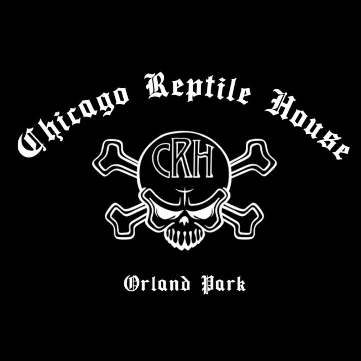 🦄 thechicagoreptilehouse The Chicago Reptile House TikTok