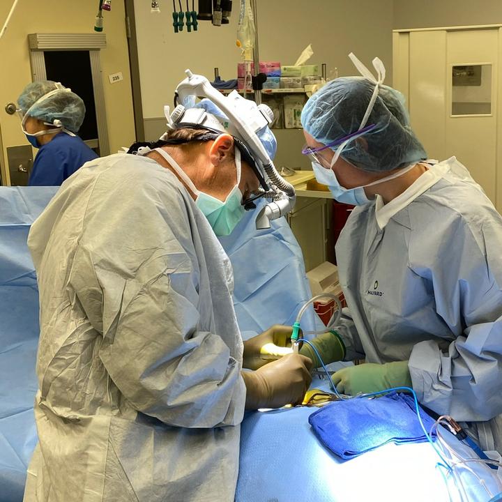 🦄 doctorhoeflinger Dr. Brian Hoeflinger, MD TikTok