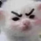 Mew Meww