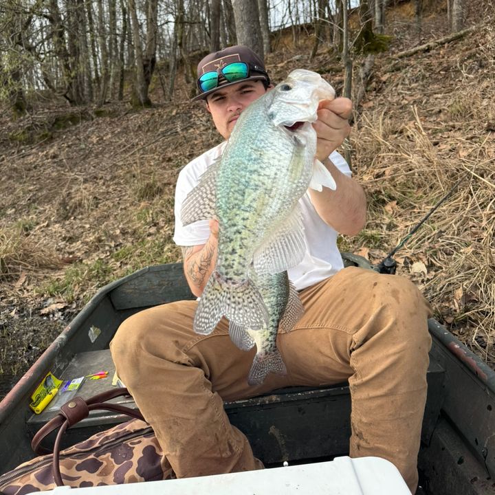 bigwfishingseries