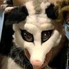 ayopossum