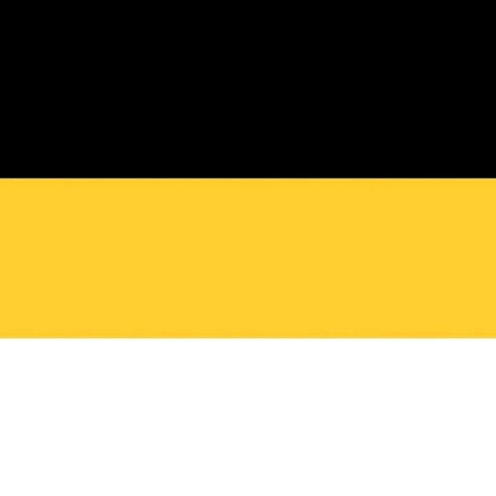  rushist i tochka TikTok