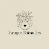 Kruger Doodles - @kruger.doodles - TikTok