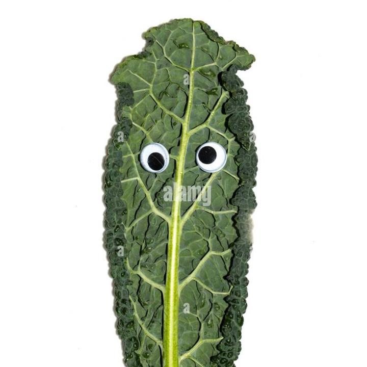 urmomwydk