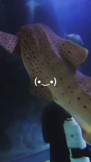 TikTok video thumbnail by pleasantshark