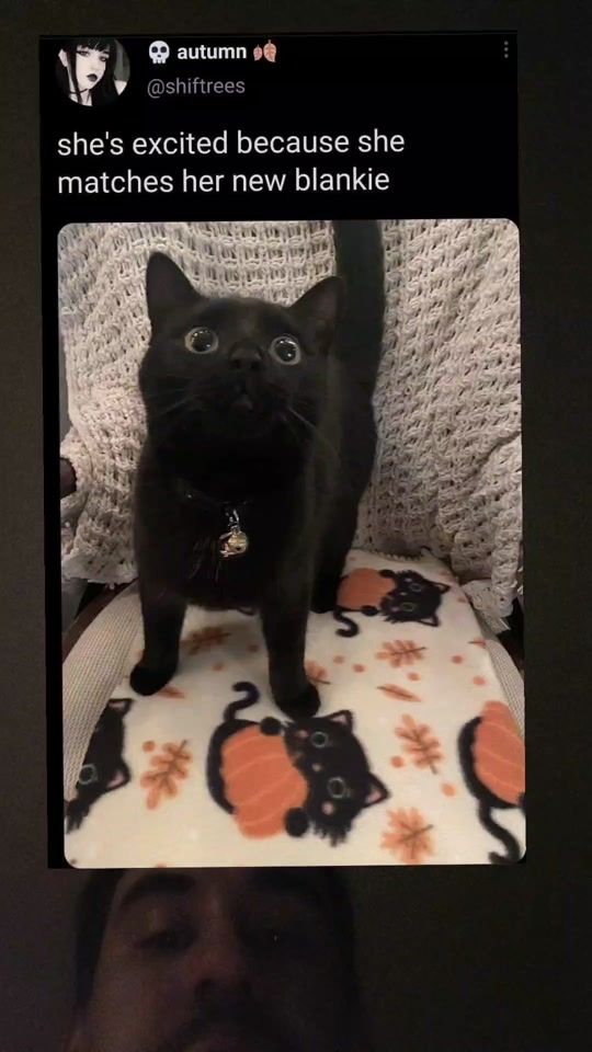 TikTok video thumbnail by milkyburger