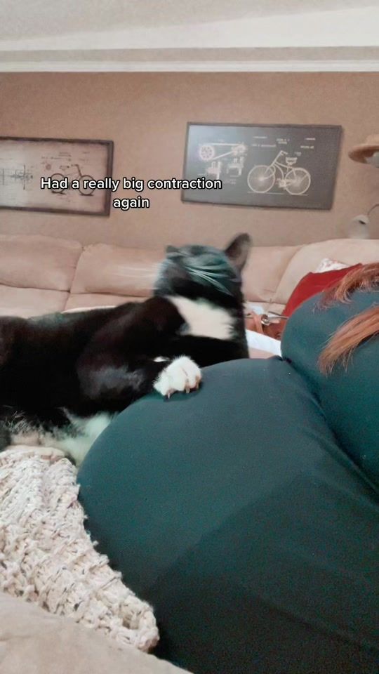 TikTok video thumbnail by lilysaunders10