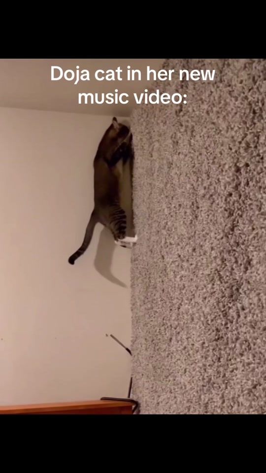 TikTok video thumbnail by playthatshitagain01
