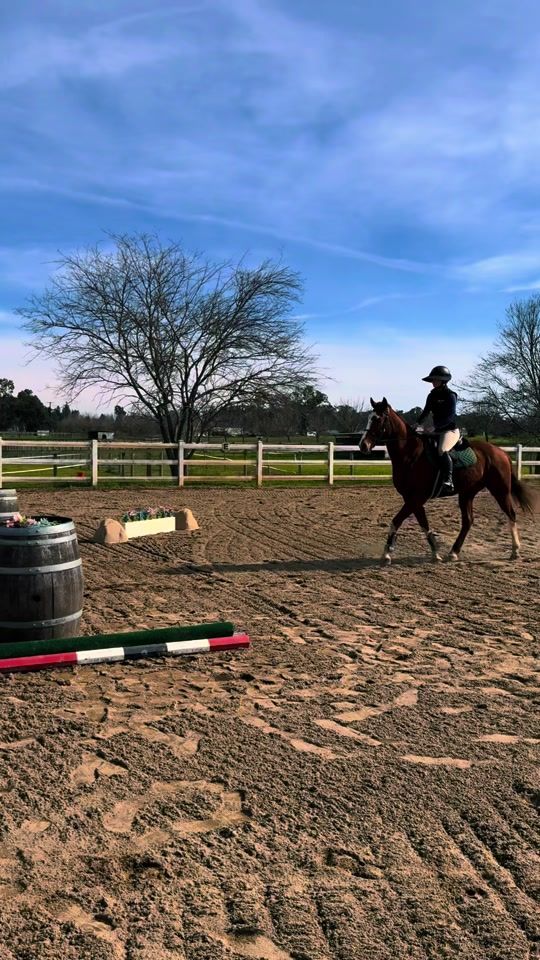 TikTok video thumbnail by sfequestrian
