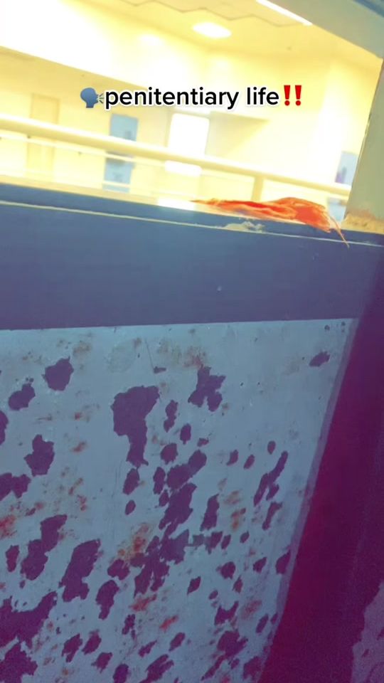 TikTok video thumbnail by statebaby23