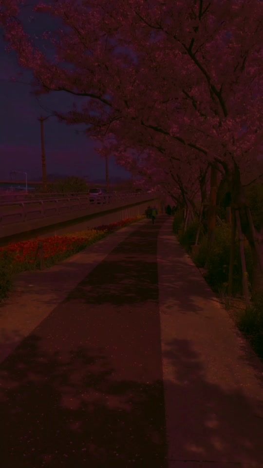 TikTok video thumbnail by _its.dani124
