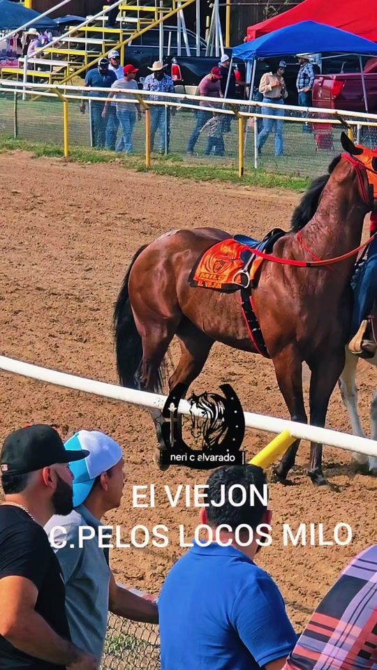 TikTok video thumbnail by neri_alvarado