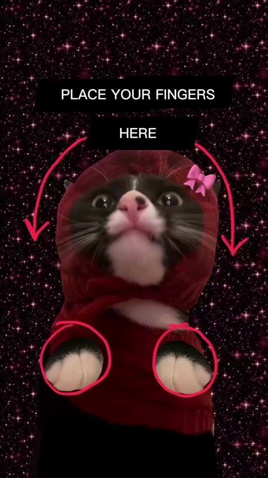 TikTok video thumbnail by urfavplayerzane