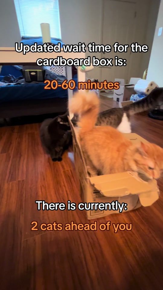 TikTok video thumbnail by user9725249787308