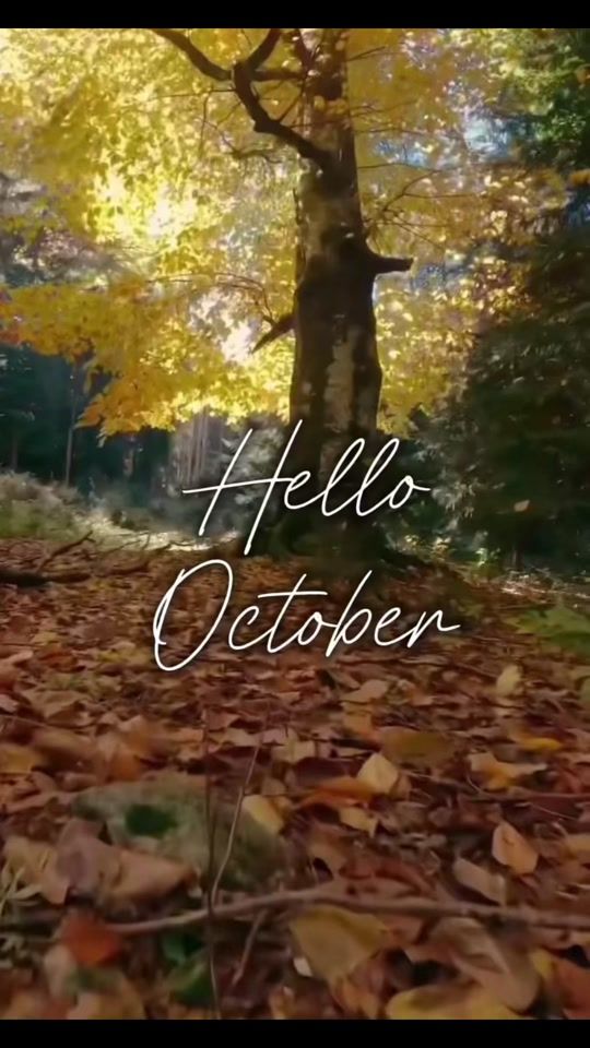 TikTok video thumbnail by nature.goodvibes.travel