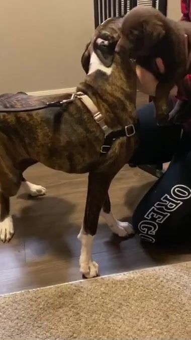 TikTok video thumbnail by maetheboxer