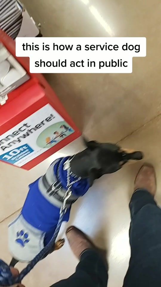 TikTok video thumbnail by cuddle_bug_2001