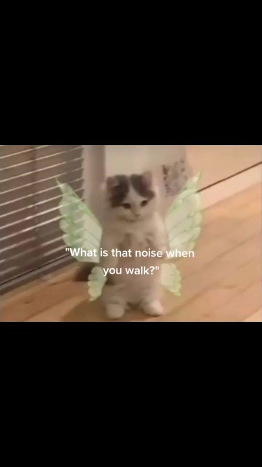 TikTok video thumbnail by freecoloredkpopcam