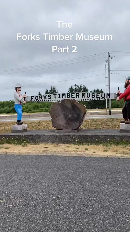 TikTok video thumbnail by forevertwilightinforks