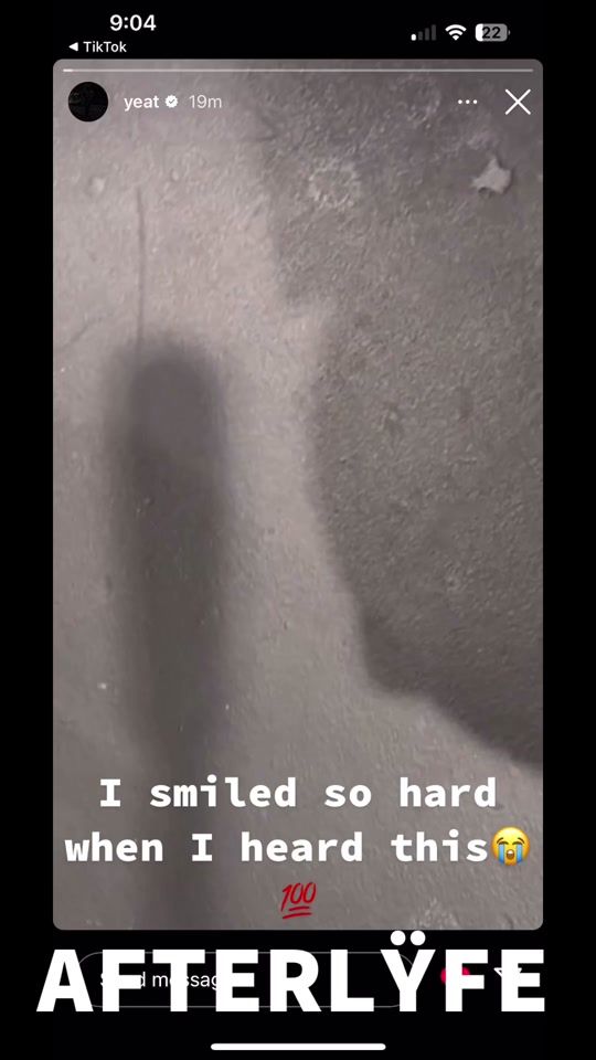TikTok video thumbnail by zynobeans