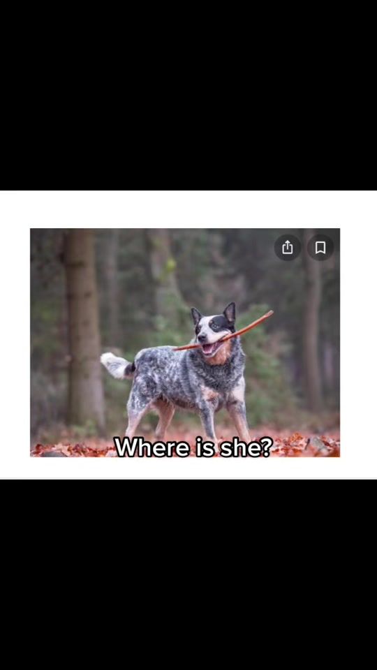 TikTok video thumbnail by .th751