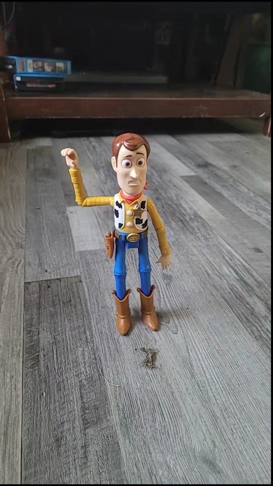 TikTok video thumbnail by woonicko