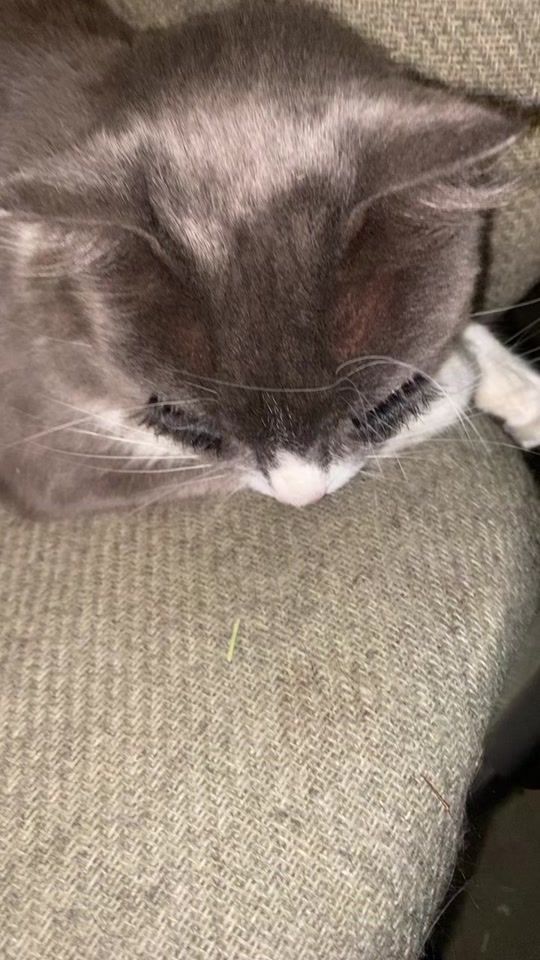 TikTok video thumbnail by saige.michelle