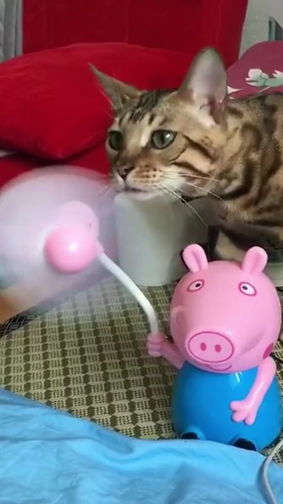 TikTok video thumbnail by shijin_workhard