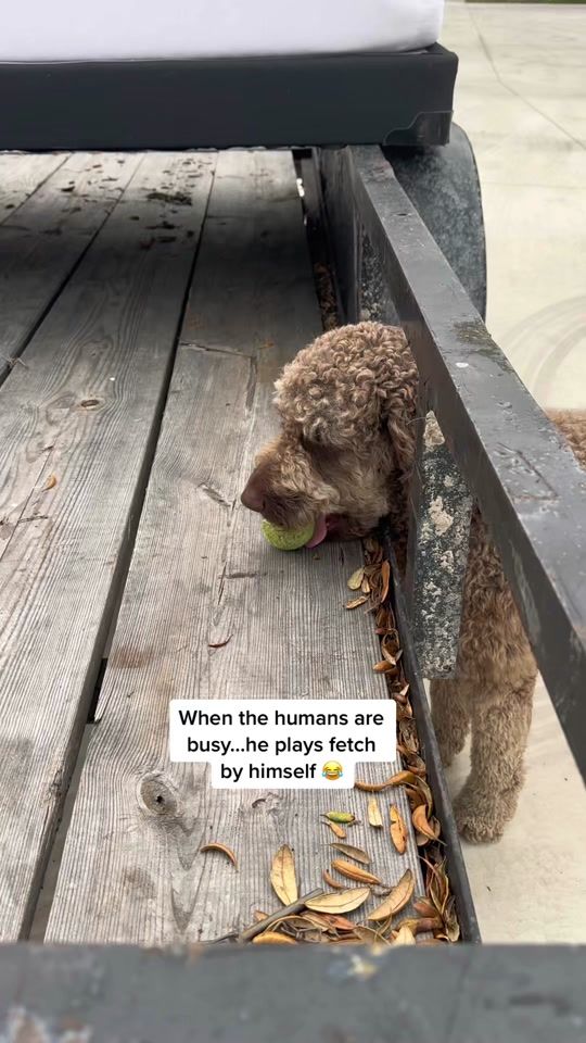 TikTok video thumbnail by sidneypoo