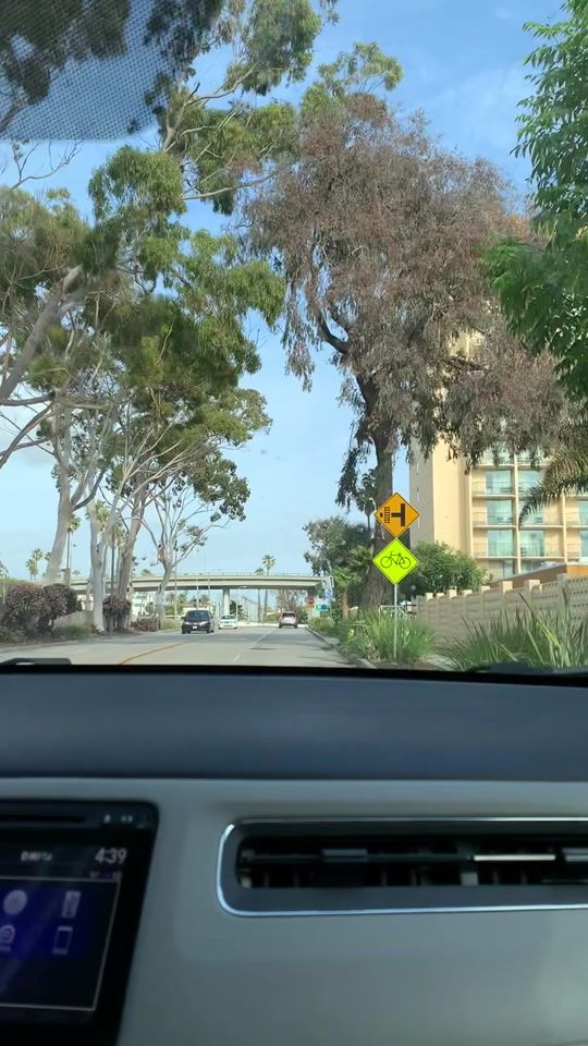 TikTok video thumbnail by daysbehindbars