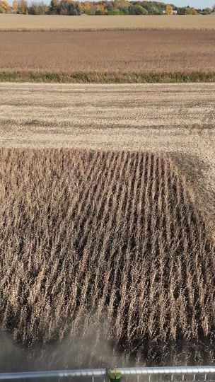 TikTok video thumbnail by peytonjdale