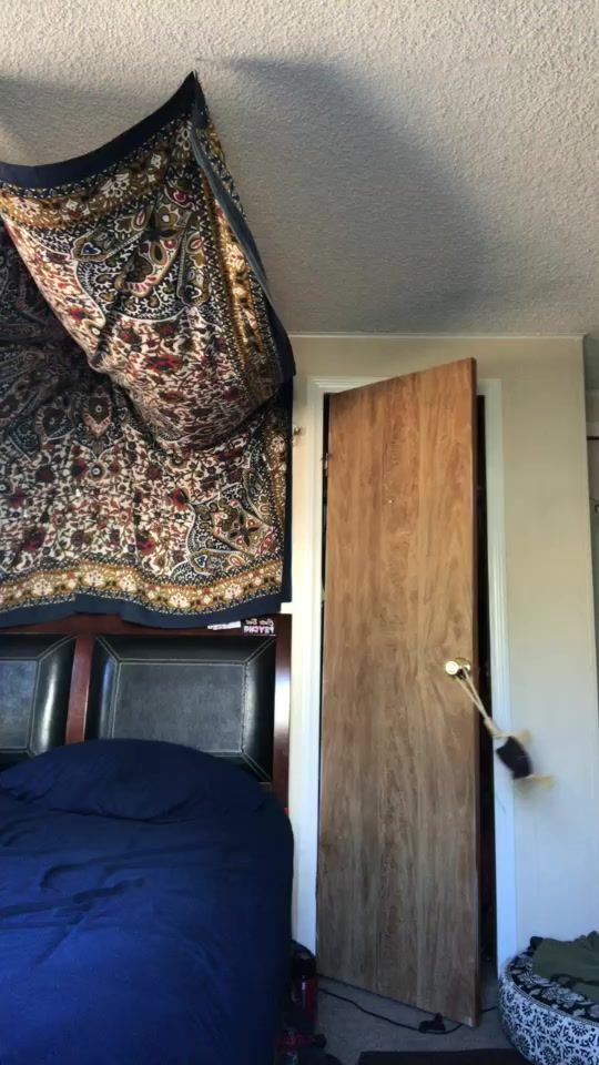 TikTok video thumbnail by buggzinmyteeth