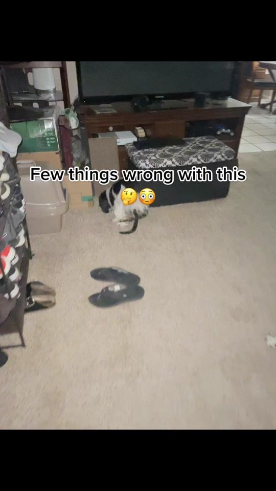 TikTok video thumbnail by ajgamble_unfiltered