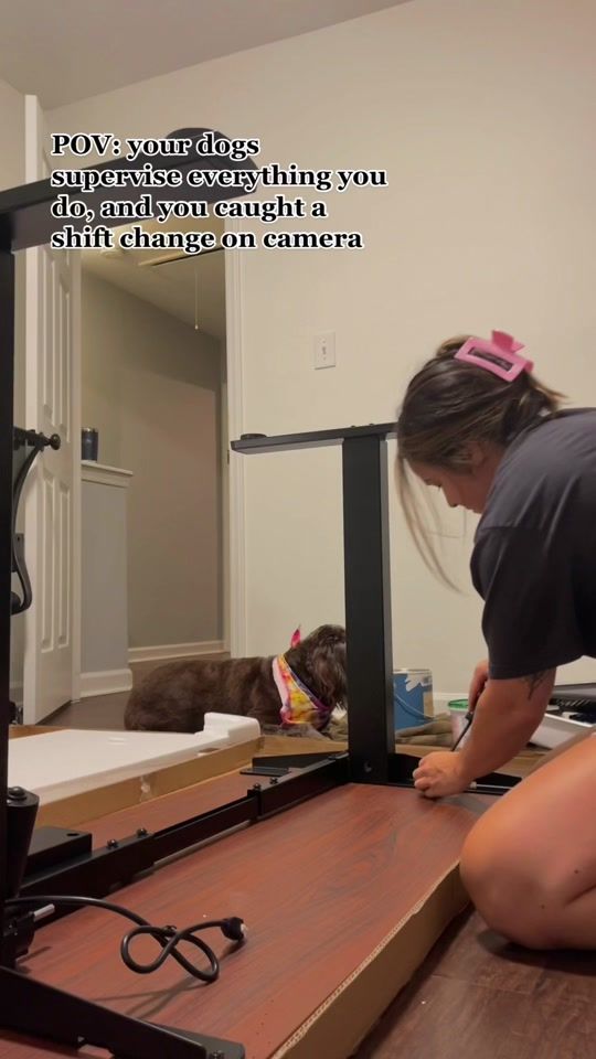 TikTok video thumbnail by reaganmckeever