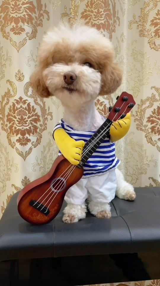 TikTok video thumbnail by chicoslays
