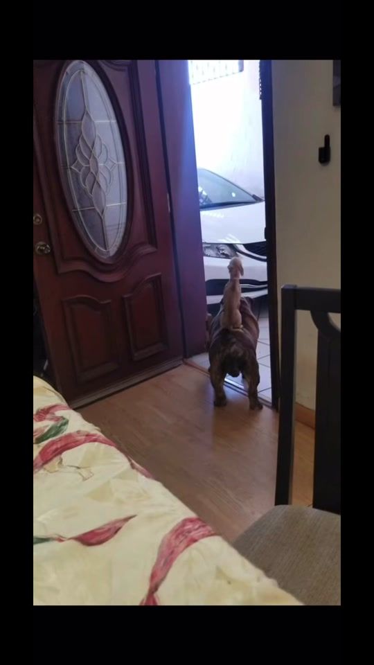TikTok video thumbnail by micheleanns