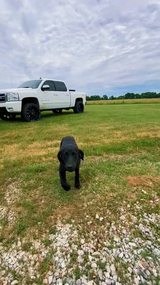 TikTok video thumbnail by nate_dawg6.6