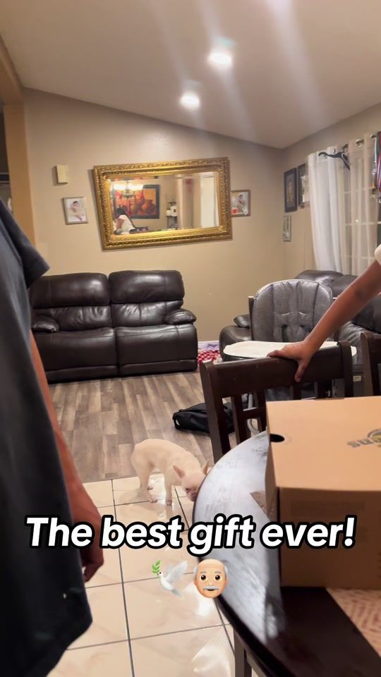 TikTok video thumbnail by _zullyy_