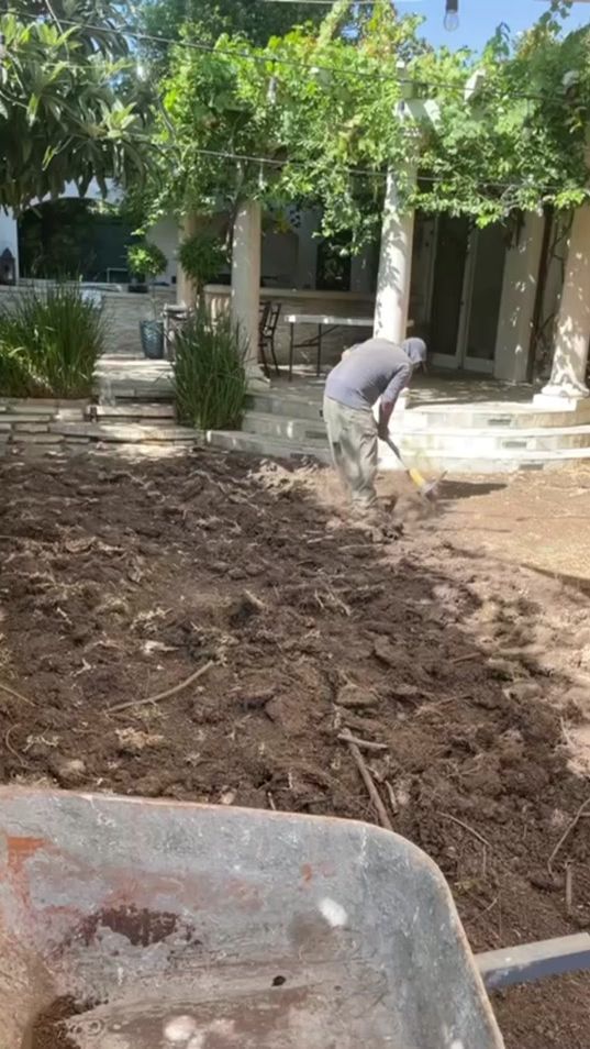 TikTok video thumbnail by mh_gardening