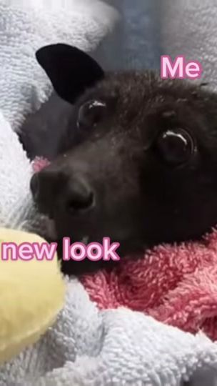 TikTok video thumbnail by pha99ett3