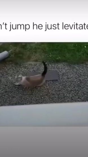 TikTok video thumbnail by meech_maedaway2