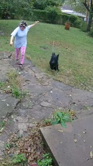 TikTok video thumbnail by xbox_powertiegomez99
