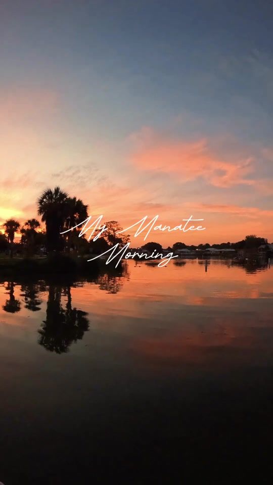 TikTok video thumbnail by birds_underwater
