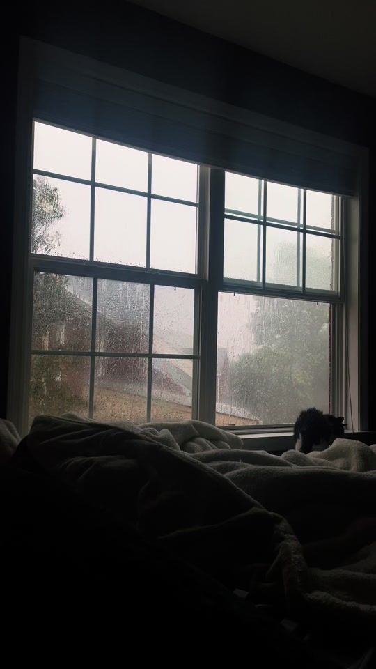 TikTok video thumbnail by windowscenes