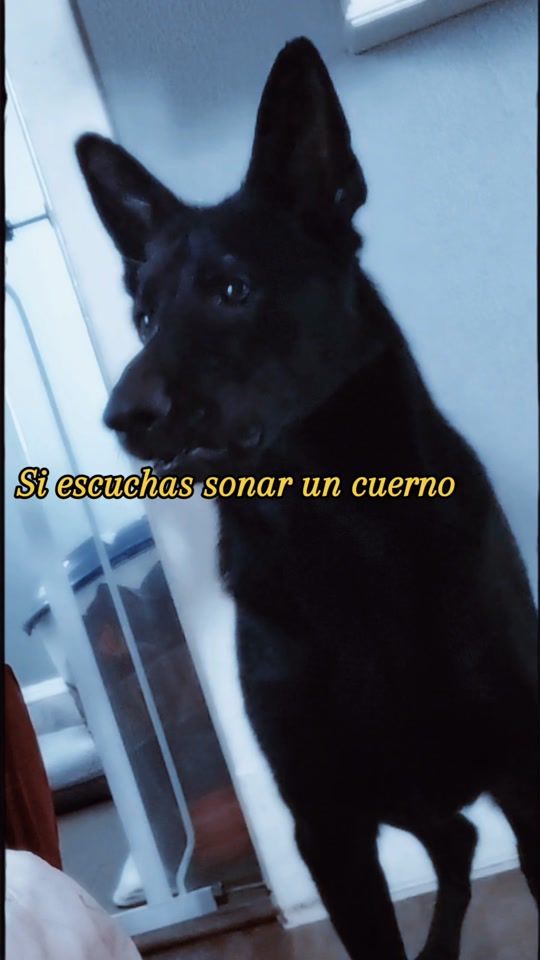 TikTok video thumbnail by suly.026